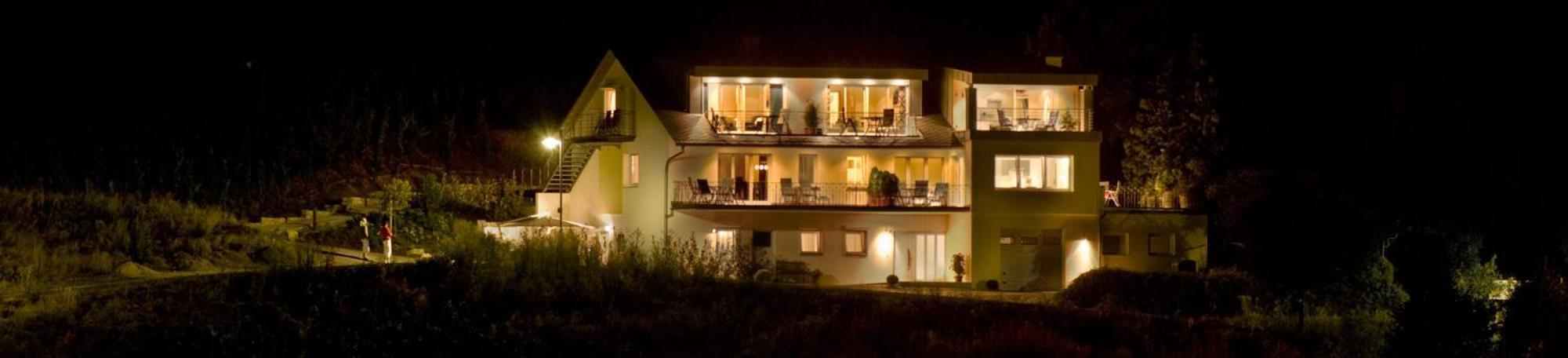 Ferienhaus Panorama Mosel Reil Kültér fotó