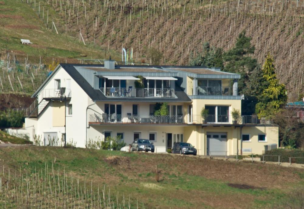 Ferienhaus Panorama Mosel Reil Kültér fotó