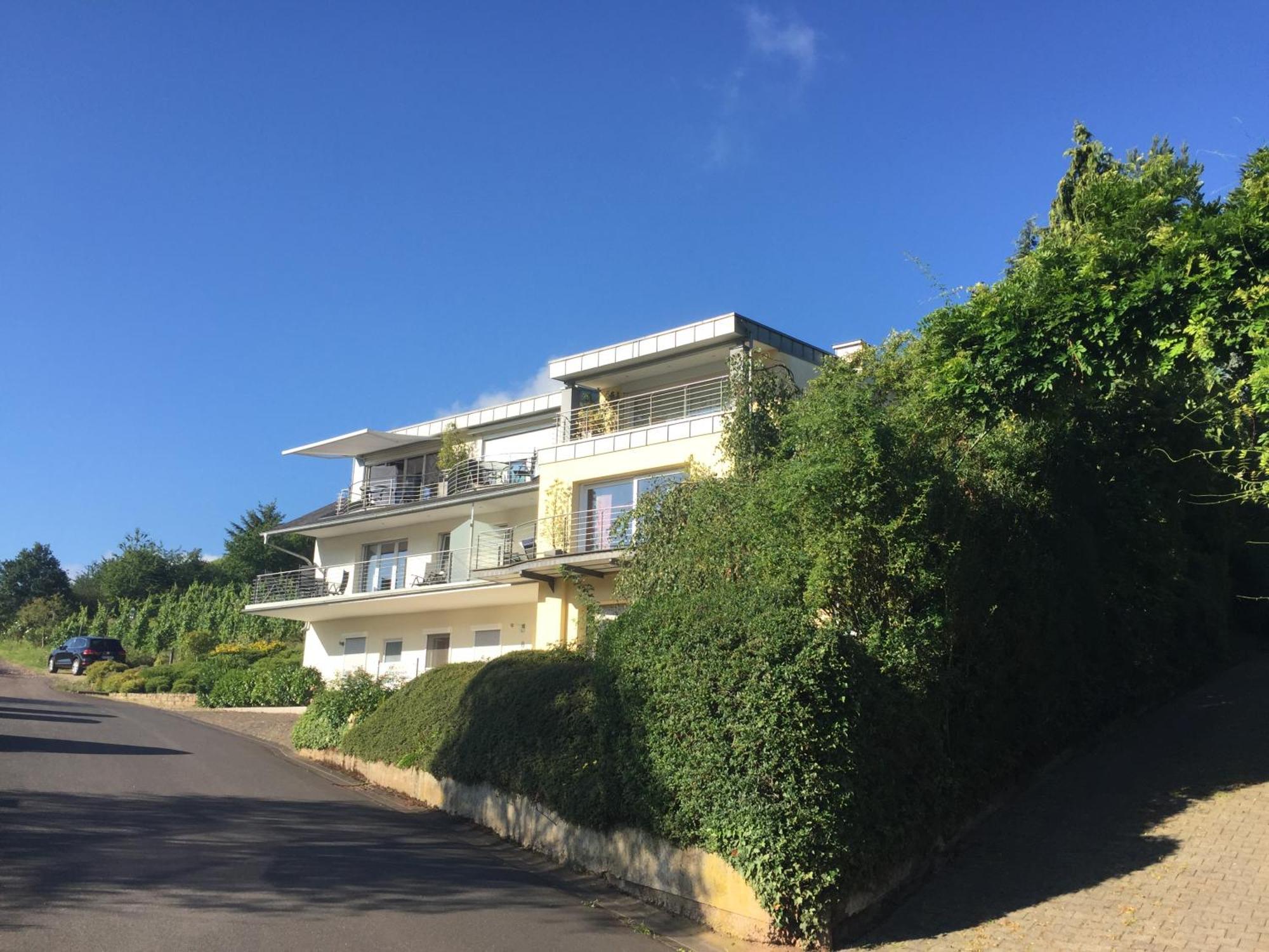 Ferienhaus Panorama Mosel Reil Kültér fotó