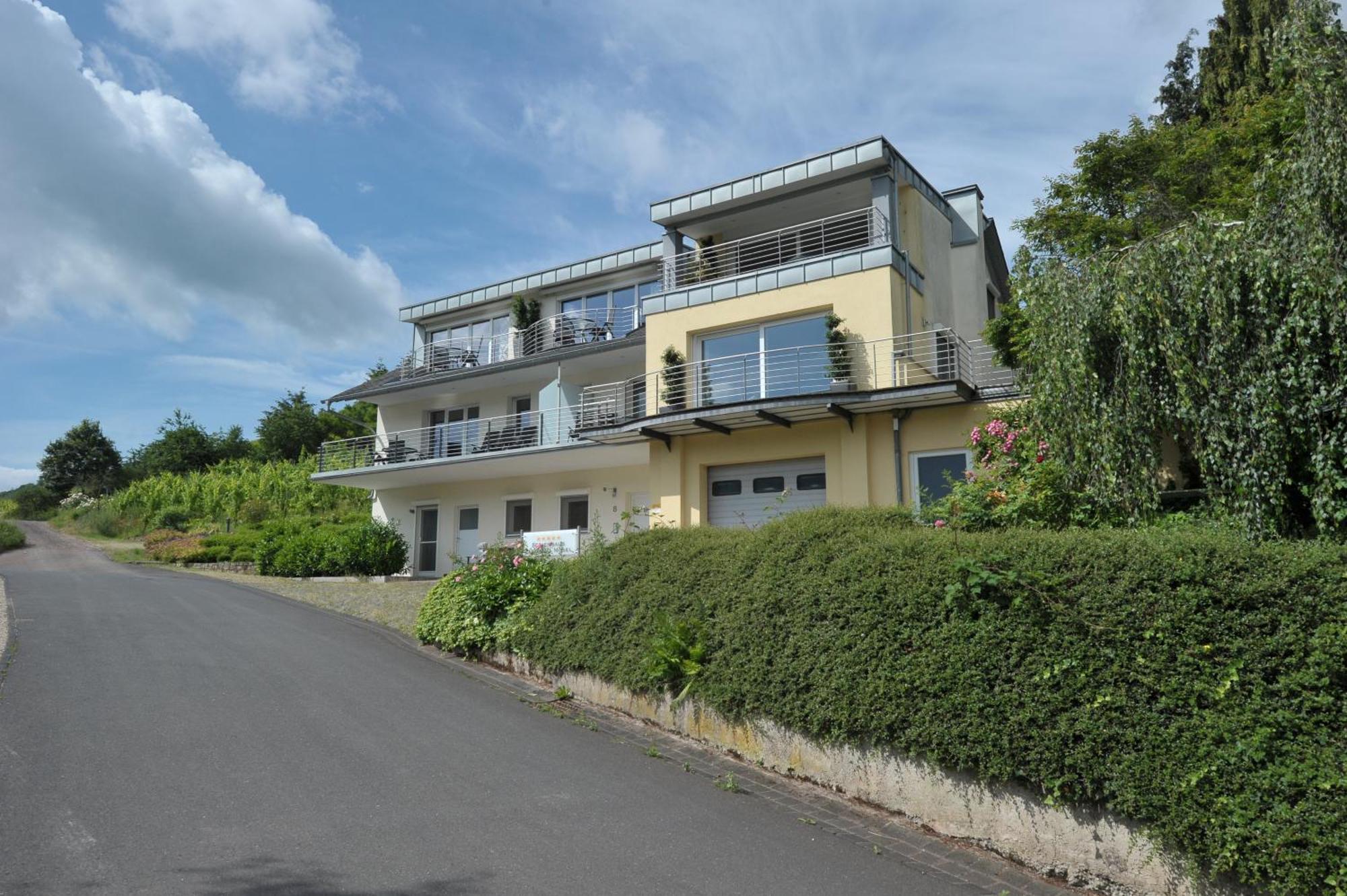 Ferienhaus Panorama Mosel Reil Kültér fotó